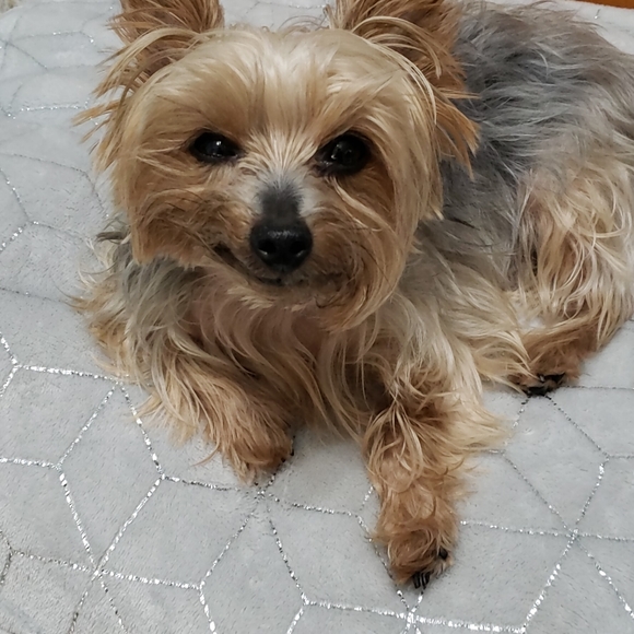 Massy xoxo ♡ - Picture 10 of 16